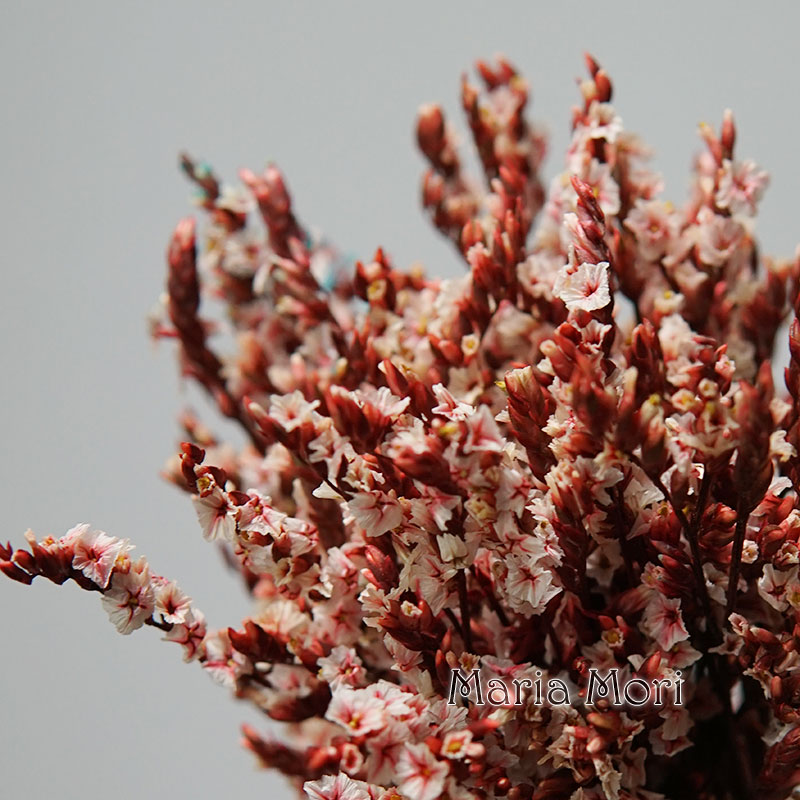 Candle Making Uk - 5g/ Colorful Dired Preserved Crystal Grass