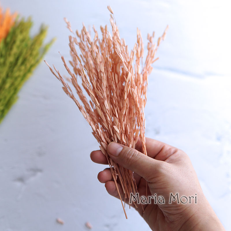 5g/Broomcorn Dyed Dried Nature - огляд і ціна Candle Making Uk