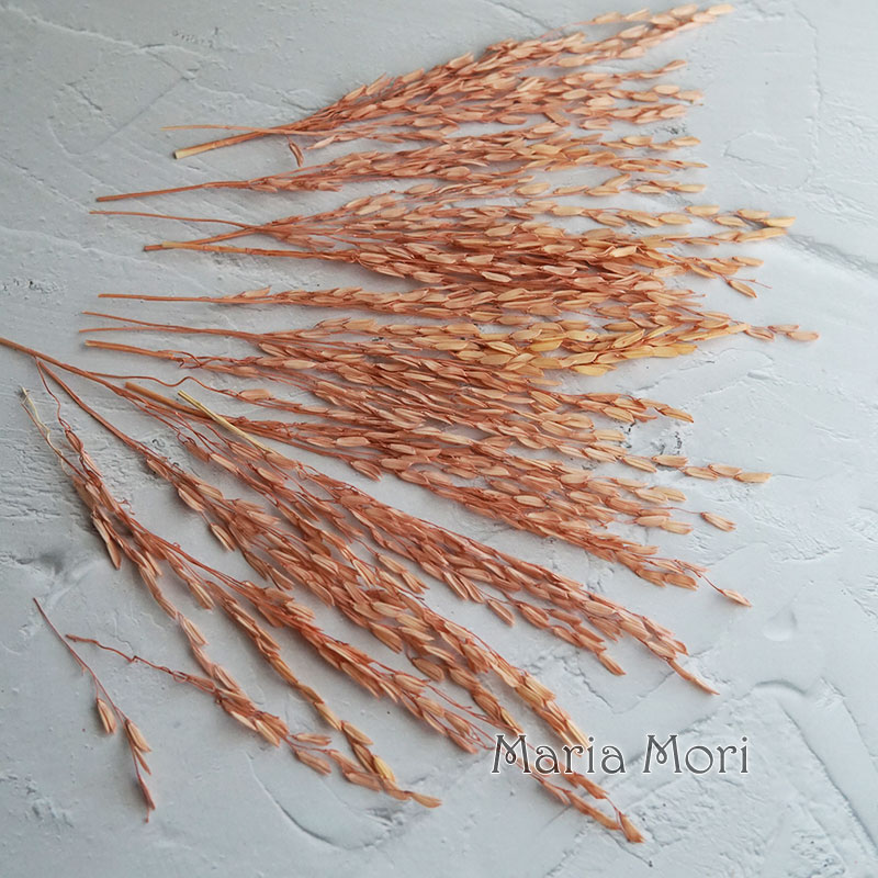 5g/Broomcorn Dyed Dried Nature - огляд і ціна Candle Making Uk