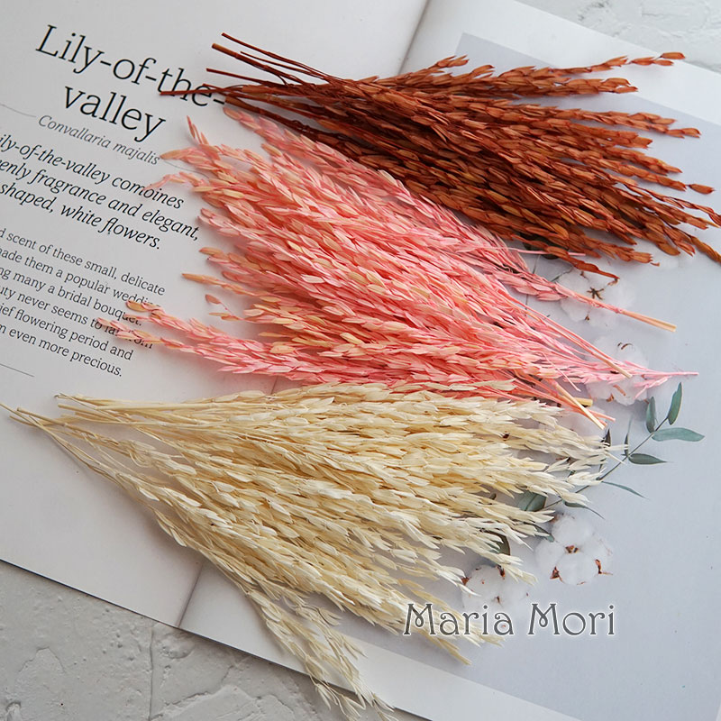 5g/Broomcorn Dyed Dried Nature - огляд і ціна Candle Making Uk